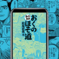 絶版【週刊おくのほそ道を歩く】 大人の休日 芭蕉とめぐる2400km 全30冊 db6c0b4c0e0a072715c020faad717d